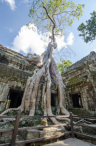 暹粒的Ta Prohm寺庙建筑学宗教纪念碑热带历史遗产旅行旅游文明高棉语图片
