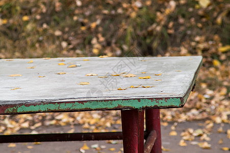 让老铁桌秋天在公园里图片