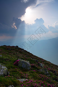 拥有罗多登登龙花的惊人山地景观天空高地全景薄雾太阳季节美丽爬坡日落阳光图片