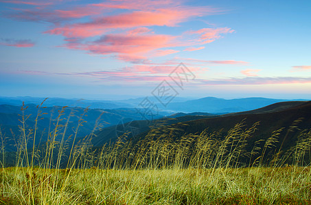 山高地貌喀尔巴阡山 乌克兰松树地标森林葡萄园薄雾观光高地地平线土地场地图片