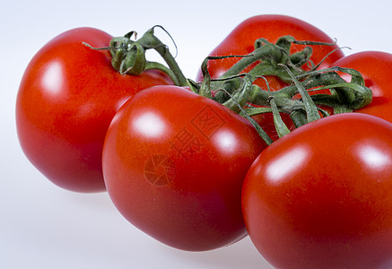 离近的番茄蔬菜植株水果白色宏观绿色藤蔓食物红色图片