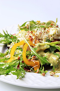蔬菜沙拉营养火箭伴奏午餐扁豆豆类美味豆芽食物脉冲图片
