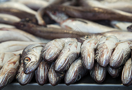 冰上新鲜鱼盐水展示团体动物小贩零售钓鱼节食海鲜茶点图片