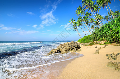 海滩上的棕榈石头情调假期海景海岸线海岸泡沫天堂风景热带图片