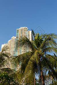 雅加达高楼大楼景观天际场景建筑街道日落旅行财产城市市中心图片