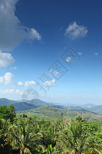 泰国的丛林山群天空荒野热带木头蓝色旅行全景绿色棕榈环境图片