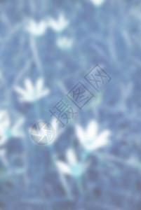 抽象的花卉背景运动在古时色调中模糊不清网络晴天季节设计网页照片太阳植物紫色荒野图片