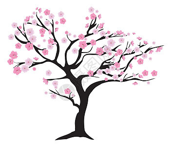 樱桃树花瓣季节樱花植物植物学插图粉色花园白色叶子图片
