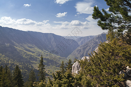 黑山塔拉河峡谷溪流公园山沟树木旅游风景城市阳光国家旅行图片