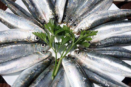 新鲜盐盐水销售量海洋食物叶子钓鱼市场海鲜眼睛蓝色渔业图片