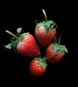 草莓种子绿色叶子团体白色食物宏观浆果甜点活力图片