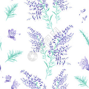 无缝水彩色形态纺织品叶子草地植物学草本卡片花园艺术插图婚礼图片