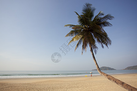 海滩海浪孤独气候地平线旅行蓝色棕榈海岸线目的地场景图片