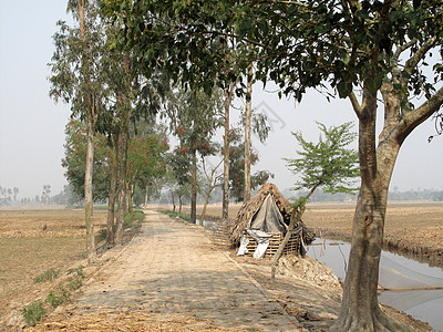 孟加拉村壤土黏土小屋庭院稻草异国培育旅行森林棕榈图片