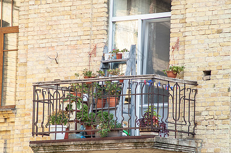 阳台植物阳台 在砖房里放鲜花栏杆游客街道建筑花园窗户晴天蓝色旅行公寓背景