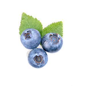 红莓和白底叶子的白色背景甜点浆果水果食物宏观蓝色图片