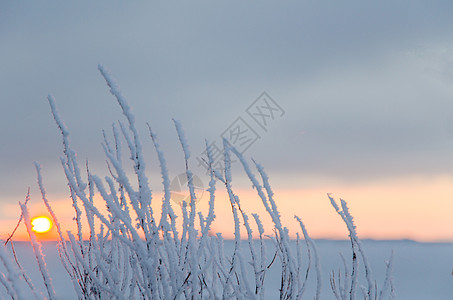 太阳下山时霜冻图片