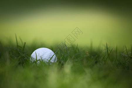 高尔夫球在草地上课程白色场地游戏球道宏观绿色运动图片