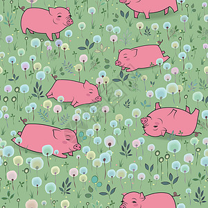 欢快的猪在开阔的田野上图片