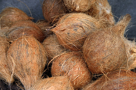 新鲜椰子饮食棕色水果热带集团食物背景图片