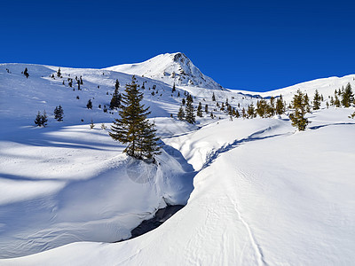 雪山采图片