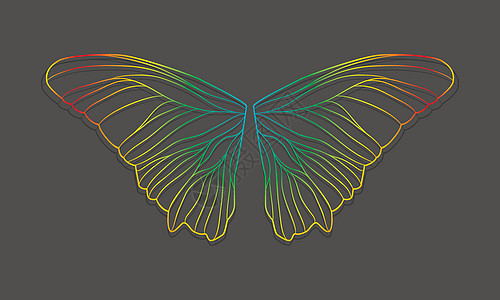 矢量蝴蝶翅膀野生动物昆虫插图折纸风格推介会生活拼贴画几何学马赛克图片