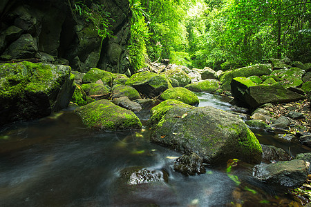 美丽的瀑布公园世界岩石荒野旅行石头风景环境森林溪流背景图片
