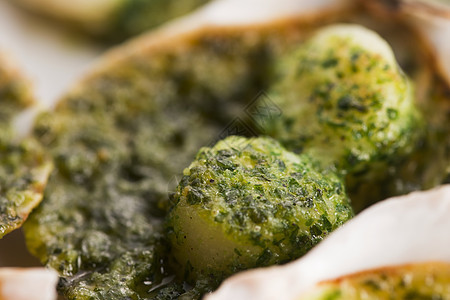 扇贝食物海鲜营养盘子蔬菜美食宏观贝壳美味饮食图片