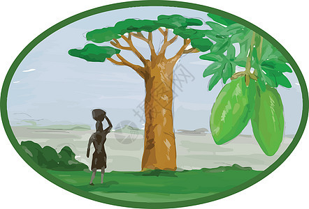 Baobab树和水果水背景图片