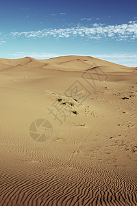 荒漠晴天寂寞旅行骆驼荒野太阳旅游沙丘沙漠图片