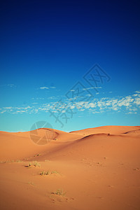 荒漠沙漠沙丘旅游寂寞骆驼晴天旅行太阳荒野图片