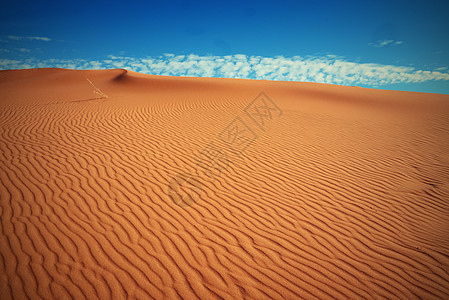 荒漠旅行沙漠晴天寂寞旅游沙丘骆驼荒野太阳图片