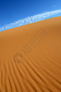 荒漠旅行沙漠太阳旅游骆驼地平线晴天沙丘寂寞荒野图片