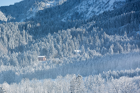 德国巴伐利亚冬季森林的阿尔卑斯山小屋图片