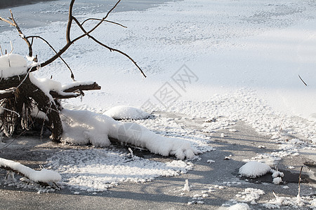 雪覆盖土地 冬日特写农村乡村白色场景风景气候森林魔法树木季节图片