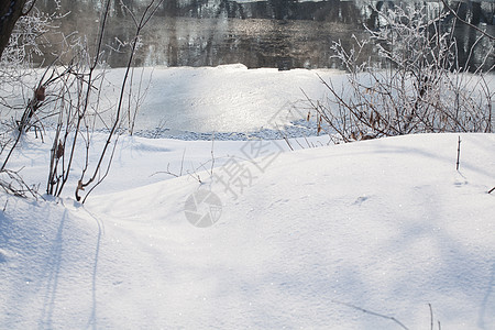 冬季农村景观天气乡村魔法场景森林白色季节树木气候风景图片