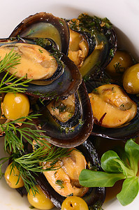 罐壳里有酱汁的贝壳食物白色草药黑色香菜美食海鲜盐渍盘子贝类图片