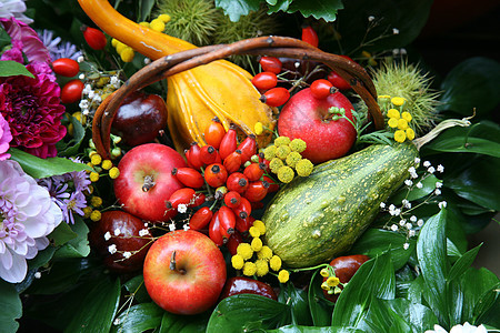 与水果和鲜花的秋天安排圆形甜点食物季节收成蔬菜核桃榛子图片