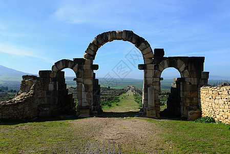 Volubilis 火山卷古物柱子马赛克考古学历史性废墟帝国城市石头历史图片