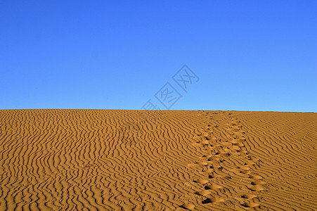 摩洛哥的撒哈拉沙漠橙子太阳口渴海浪地形晴天蓝色天空沙丘干旱图片