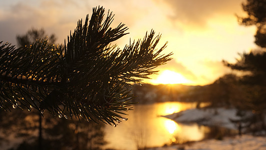 冬季海滩日落背景图片