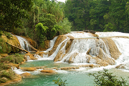 Aqua Azul瀑布热带雨林黄色绿色风景旅游水平气候热带森林植物图片