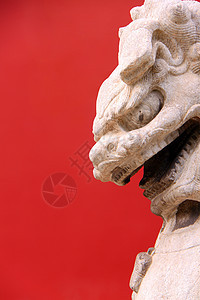中华狮子动物警卫艺术力量建筑学雕像旅游文化入口宗教图片