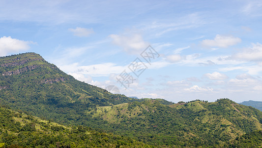 清晨在P区高花国家公园的山丘下薄雾蓝色木头草地全景旅行环境森林叶子旅游图片