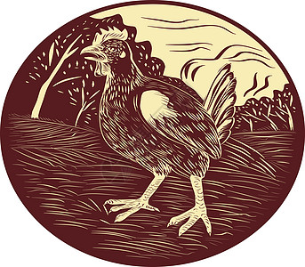 奥瓦尔伍德克雕刻插图油毡块家禽印刷油毡场地动物艺术品野生动物图片