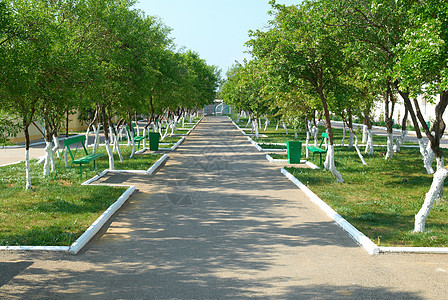 绿公园生态胡同国家叶子小路花园草地植物季节阳光图片