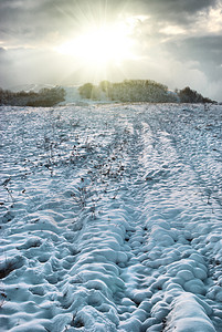 雪山小路木头降雪太阳蓝色场景地平线天气公园天空图片