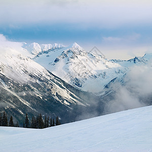 山中的冬冬树天气植物群假期高地降雪森林童话暴风雪蓝色首脑图片