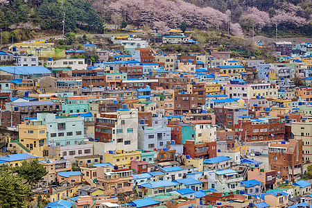 Gamcheon文化村爬坡糖果绘画景观城市建筑住宅旅行地标场景图片