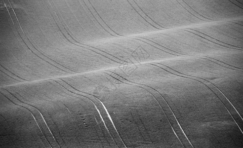 捷克莫拉维亚山 农业 阿拉伯土地在春天风景丘陵场景场地黑与白草地耕地树木旅行日光图片